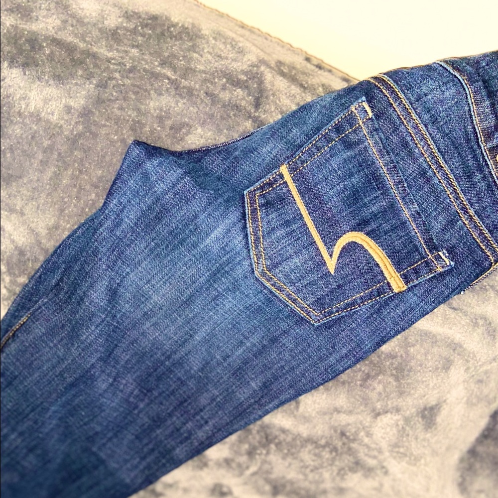 American Eagle Artist Crop jeans